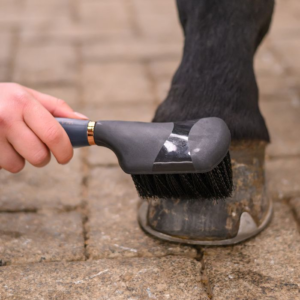 Brosse à sabots avec poignée gel