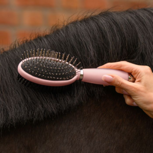 Brosse double avec poignée en gel