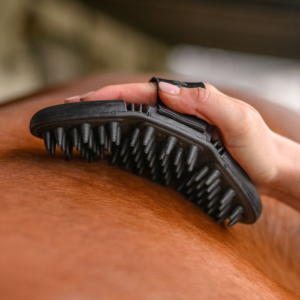 Étrille de massage Flex