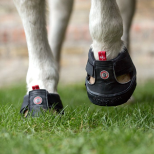 Hipposandales de trekking Equine Fusion®