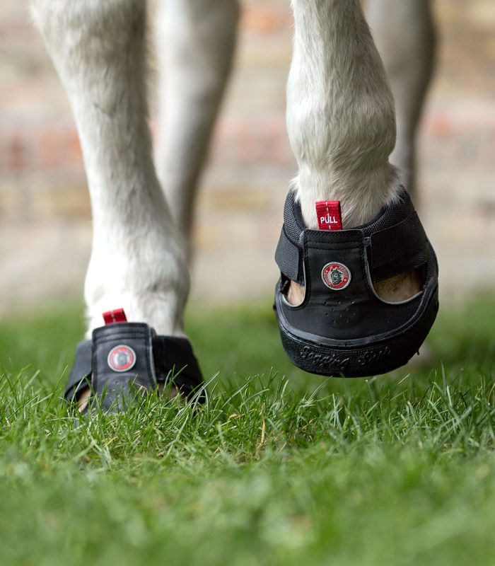 Hipposandales de trekking Equine Fusion®