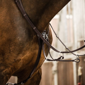 Waldhausen X-Line Martingale Professional