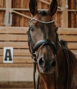 BRIDON DRESSAGE ROYAL FS NOIR