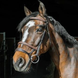 BRIDON HUILE OLIVA FS HAVANE