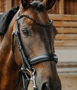 BRIDE DRESSAGE ONYX FS NOIR