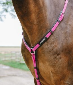 C.CHASSE POP FS ROSE