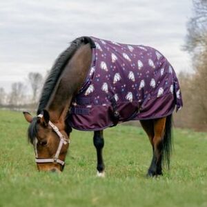 LICORNE 600 STD 220G PRUNE 6'3