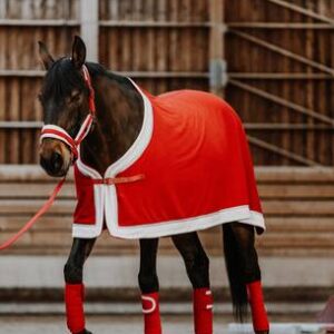CHEM.POLAIRE XMAS ROUGE 6'6