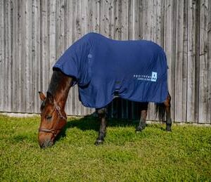 CHEMISE FRESH CMB MARINE 7'0