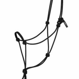 LICOL ETHOL.NOIR FS