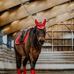 BANDE POLO XMAS 3M ROUGE