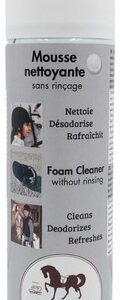 MOUSSE NETTOY.TEXTILES 250ML