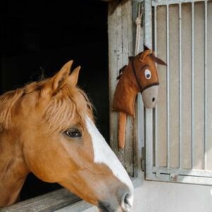 JOUET P/CHEVAUX HOBBY HORSE