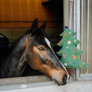 JOUET P/CHEVAUX SAPIN DE NOEL