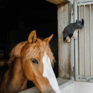 JOUET P/CHEVAUX RHINOCEROS
