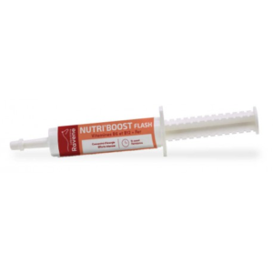 Nutri'Boost Flash RAVENE