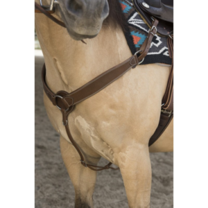 Collier de chasse WESTRIDE by Franck Perret "Billy"