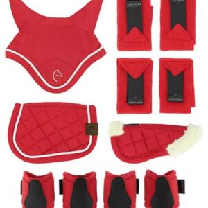 SET MINI ACCES.5PCS ROUGE