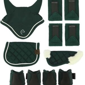 SET MINI ACCES.5PCS VERT FONCE