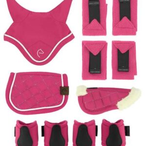 SET MINI ACCES.5PCS ROSE