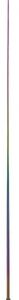 CRAVACHE DRESSAGE HOLOGRAM 110